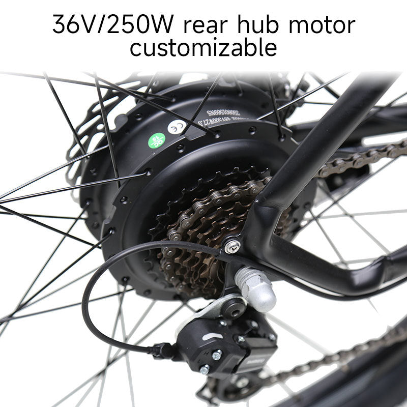 250W Electric Mountain Bike – 7-Speed Mechanical Disc Brakes